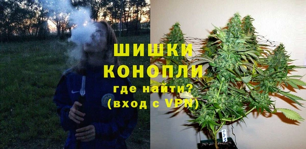 spice Арсеньев