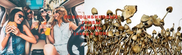 spice Арсеньев