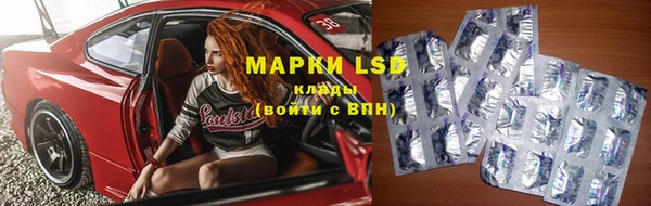 крисы Аркадак