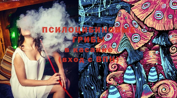 ГАЛЛЮЦИНОГЕННЫЕ ГРИБЫ Алагир