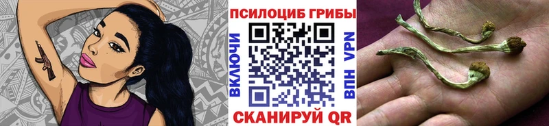 Псилоцибиновые грибы MAGIC MUSHROOMS как найти закладки Боготол